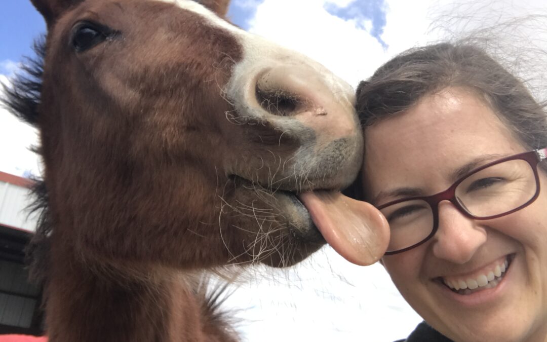 young horse liking woman's face