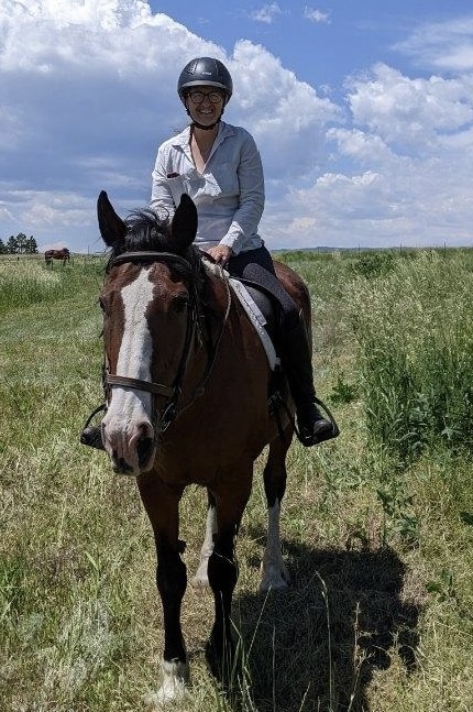 woman riding horse in a meadow on a sunny day